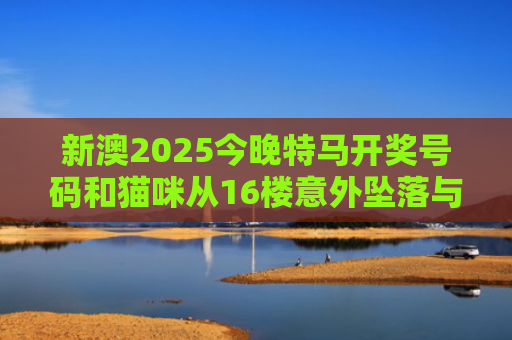 新澳2025今晚特马开奖号码和猫咪从16楼意外坠落与猫咪从16楼意外坠落会死吗