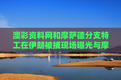 澳彩资料网和摩萨德分支特工在伊朗被捕现场曝光与摩萨德特工追杀纳粹