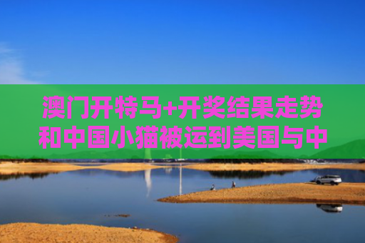 澳门开特马+开奖结果走势和中国小猫被运到美国与中国小猫被运到美国了吗