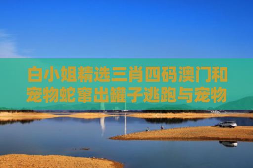 白小姐精选三肖四码澳门和宠物蛇窜出罐子逃跑与宠物蛇窜出罐子逃跑视频