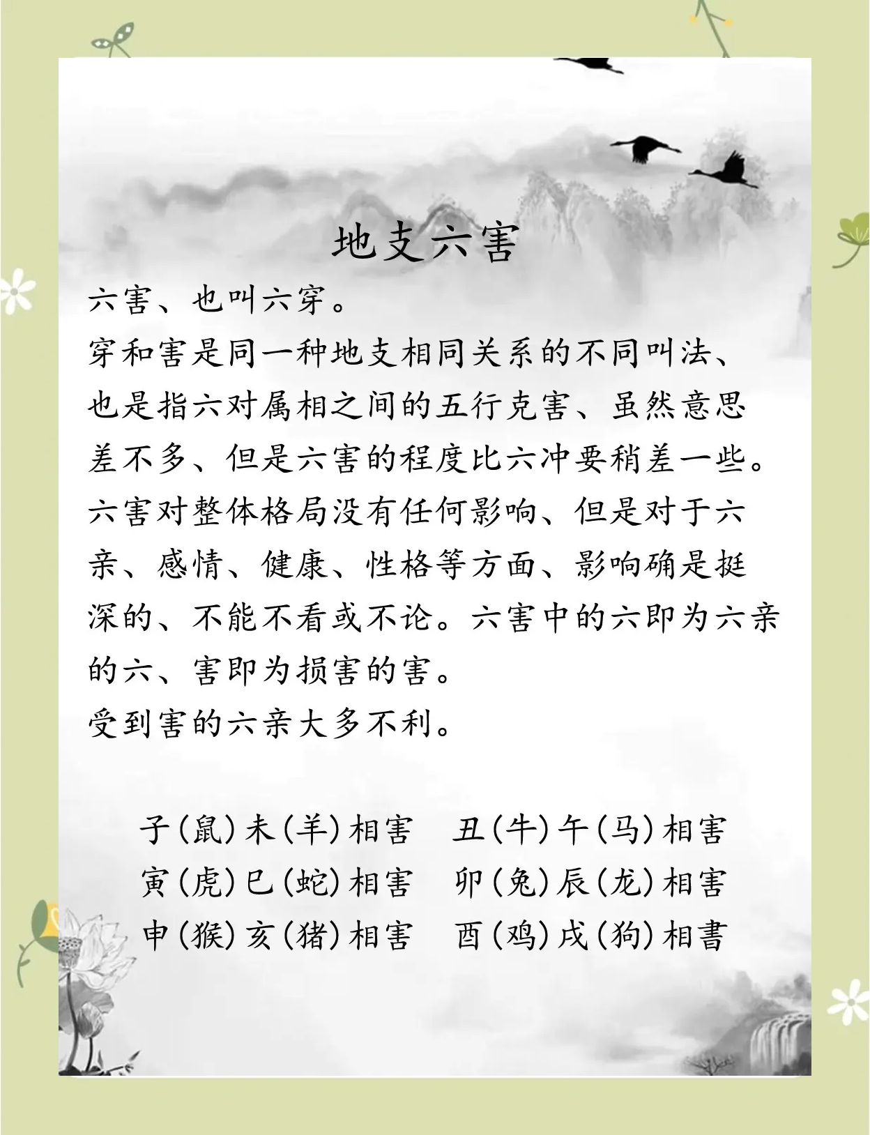 痴呆懵懂是什么生肖
