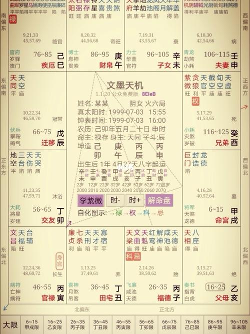 紫微命盘查询