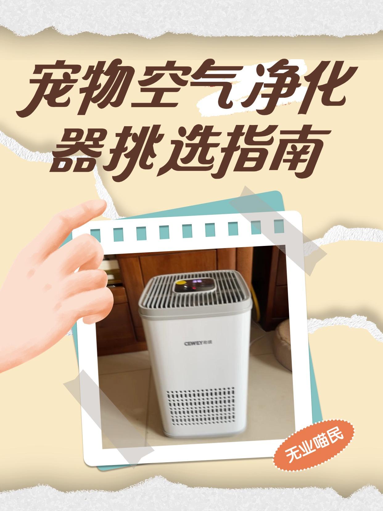 为何要经常清理家