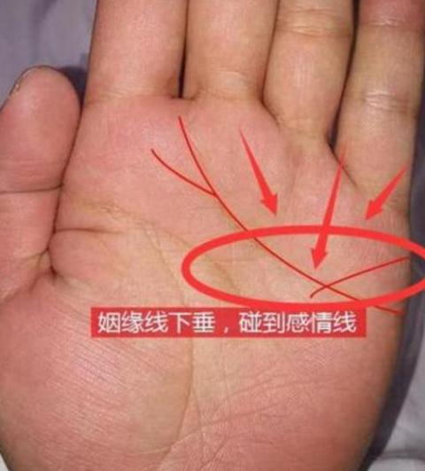 科普展现:命主巨门女人（巨门女都很命苦吗）