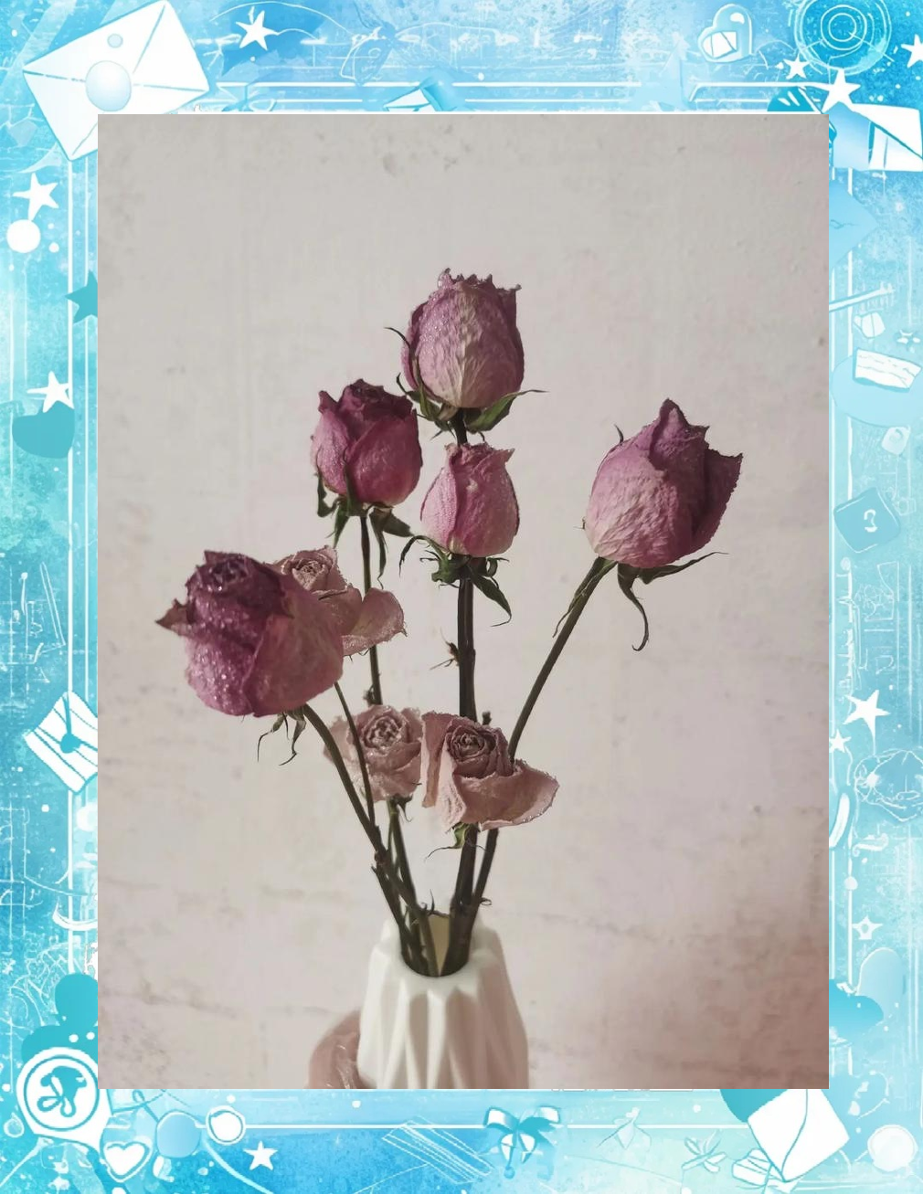 科普展现:干花风水禁忌（干花有什么忌讳）