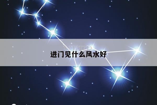 进门见什么风水好
