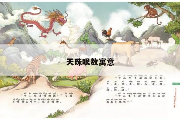 天珠眼数寓意