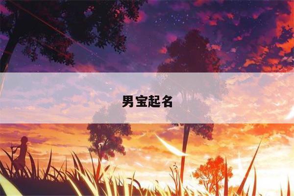 男宝起名