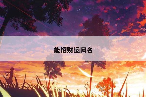 能招财运网名