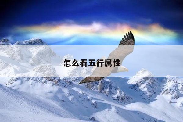 怎么看五行属性