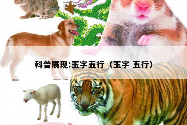 科普展现:玉字五行（玉字 五行）