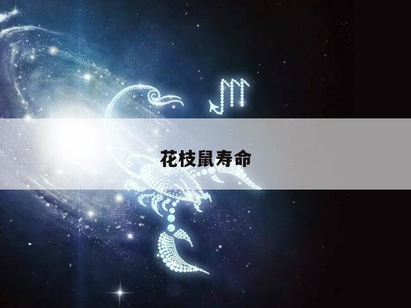 花枝鼠寿命
