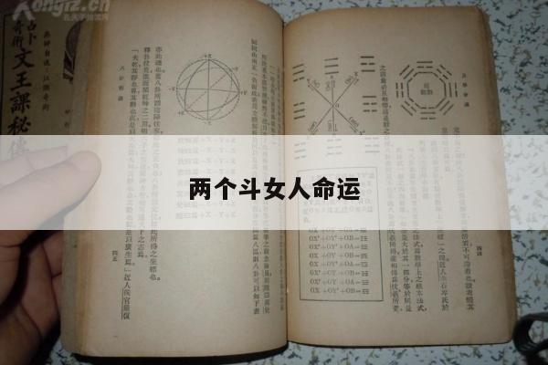 两个斗女人命运