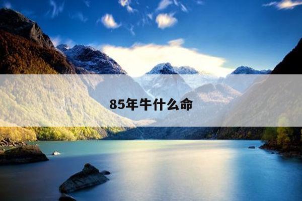 85年牛什么命