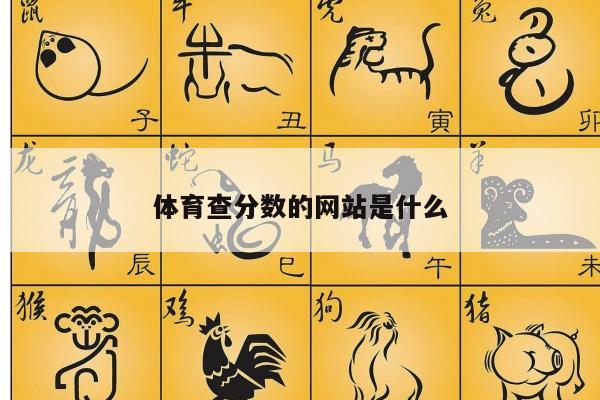 体育查分数的网站是什么