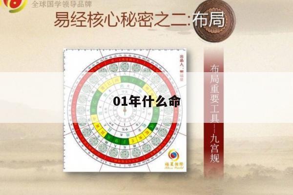 01年什么命
