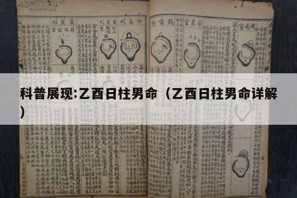 科普展现:乙酉日柱男命（乙酉日柱男命详解）
