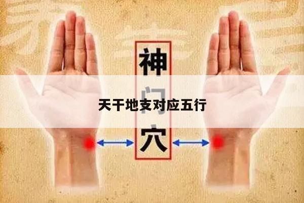天干地支对应五行