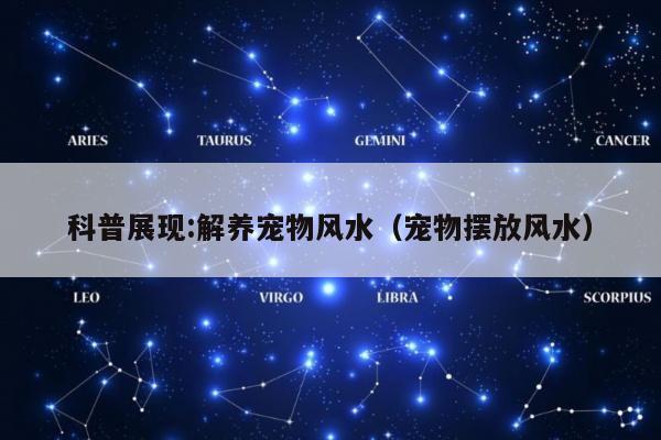 科普展现:解养宠物风水（宠物摆放风水）