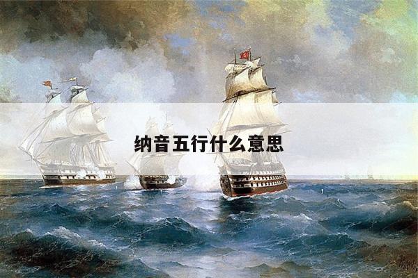 纳音五行什么意思