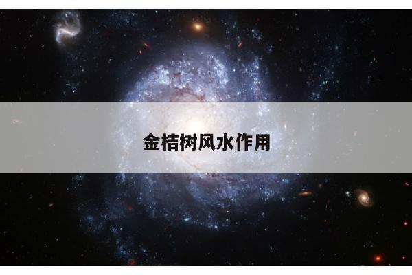 金桔树风水作用