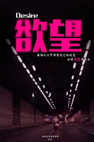 免费视频在线看,今天高清视频在线观看免费