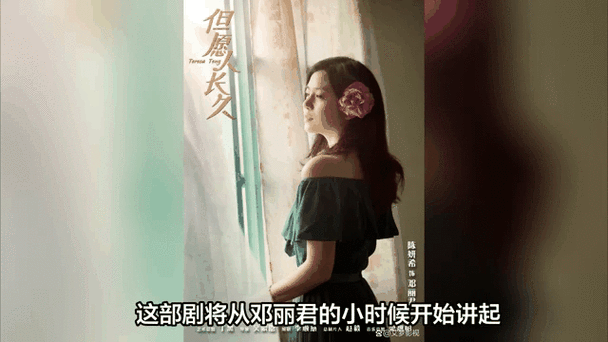 但愿人长久电视剧免费观看星辰影院,但愿人长久电视剧20全集视频
