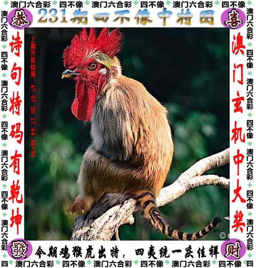 2023澳门六合免费资料,