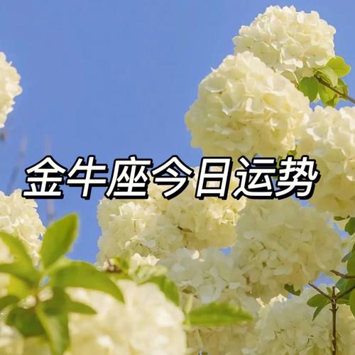 金牛座今日运势查询女最准,金牛座今曰运势查询女