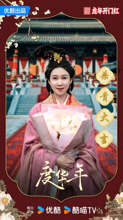 度华年电视剧免费观看全集完整版星辰影院,度华年的意思是什么