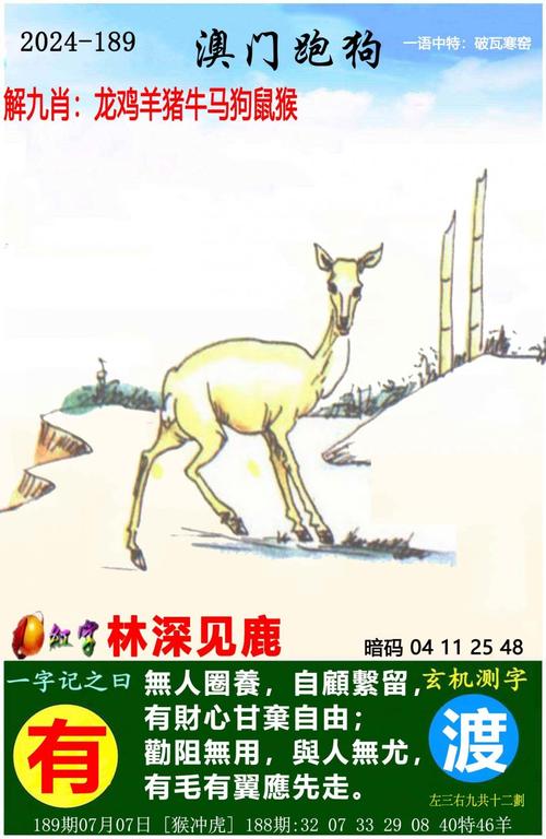 今日特马澳门,今晚澳门特马诗