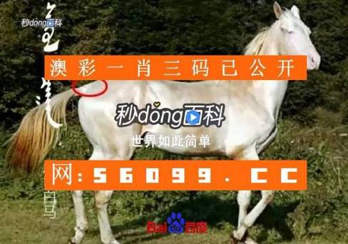 四肖中特_香港老鼠报,四肖中特期期准香港四肖期期准