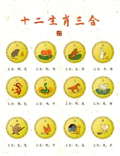 开金花的生肖指哪几个,开金花的生肖指哪几个生肖