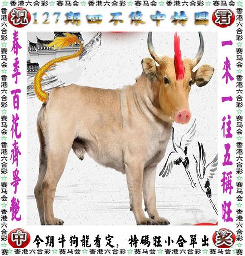 今晚中什么特马,一码包中