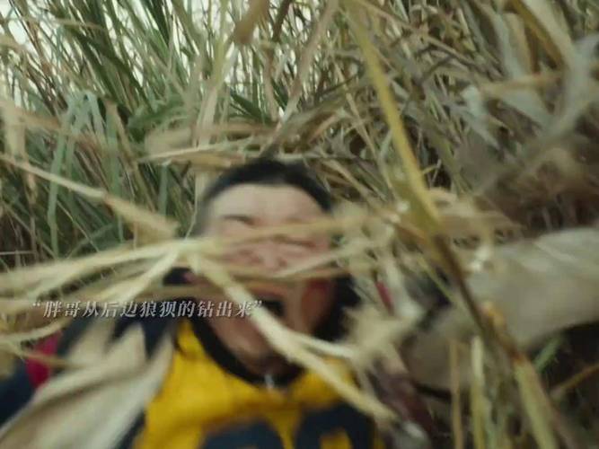 大蛇4高清免费完整版在线观看,大蛇4免费观看完整版电影
